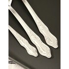 Набор столовых приборов «Славяна», 18 предметов, толщина 1.2 мм, картонная коробка, цвет серебряный - Фото 3