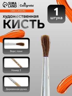 Кисть для рисования, пони, № 3, круглая, деревянная ручка, международный размер (комплект 10 шт)