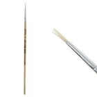 Кисть для рисования, щетина, № 1, круглая, деревянная ручка, международный размер (комплект 10 шт) - фото 68861813