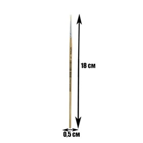 Кисть ворс «Щетина», круглая, № 1 (комплект 10 шт)