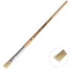 Кисть для рисования, щетина, № 8, плоская, деревянная ручка, международный размер - фото 120037103