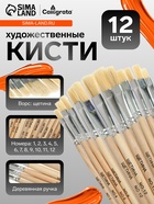 Набор кистей для рисования, щетина, 12 штук: № 1, 2, 3, 4, 5, 6, 7, 8, 9, 10, 11, 12, плоские, деревянная ручка, международный размер - Фото 1