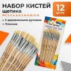 Набор кистей для рисования, щетина, 12 штук: № 1, 2, 3, 4, 5, 6, 7, 8, 9, 10, 11, 12, плоские, деревянная ручка, международный размер - Фото 1