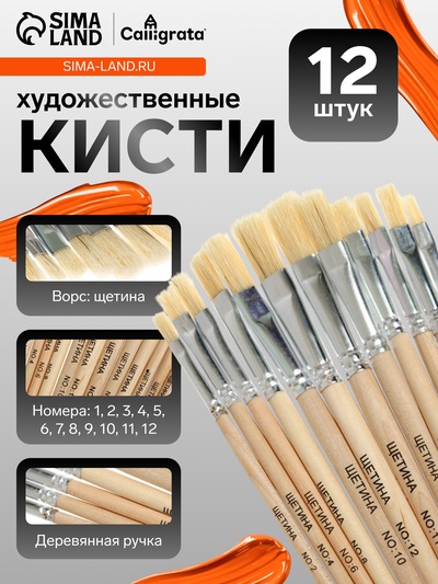 Набор кистей для рисования, щетина, 12 штук: № 1, 2, 3, 4, 5, 6, 7, 8, 9, 10, 11, 12, плоские, деревянная ручка, международный размер