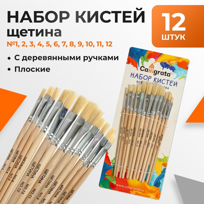 Набор кистей для рисования, щетина, 12 штук: № 1, 2, 3, 4, 5, 6, 7, 8, 9, 10, 11, 12, плоские, деревянная ручка, международный размер - Фото 1