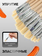 Набор кистей для рисования, щетина, 12 штук: № 1, 2, 3, 4, 5, 6, 7, 8, 9, 10, 11, 12, плоские, деревянная ручка, международный размер - Фото 2