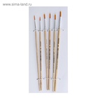 Набор кистей для рисования, нейлон, 6 штук: №1, 2, 3, 4, 5, 6, круглые, деревянная ручка, международный размер 670041