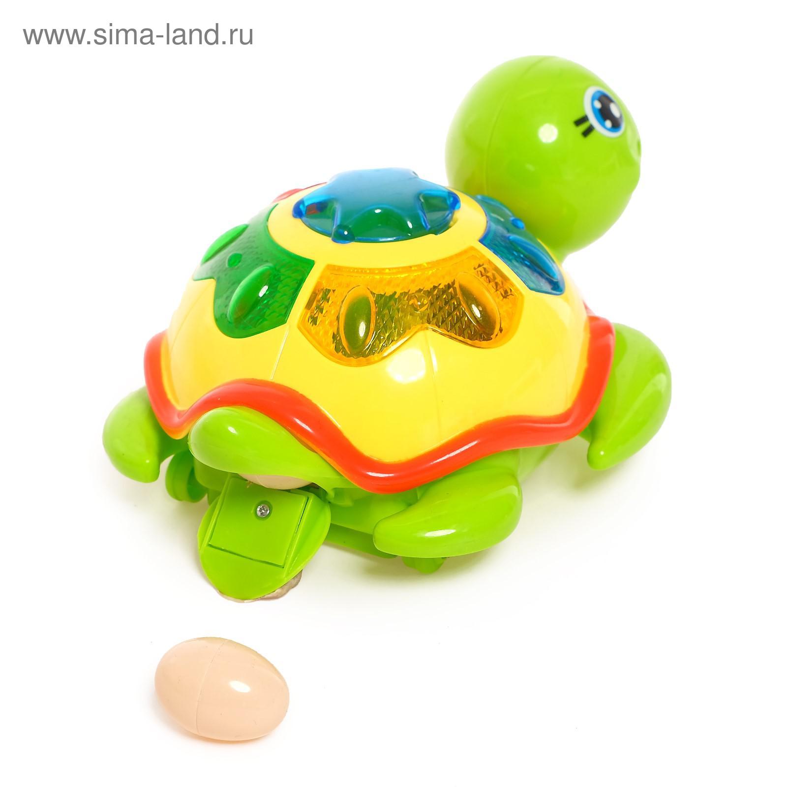 Baby einstein. Music turtle. Music turtle. Игрушка черепаха музыкальная. Музыкальная игрушка черепашка световые и звуковые эффекты микс.