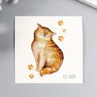 Татуировка на тело цветная "Толстый кот и следы" 6х6 см - фото 10828392
