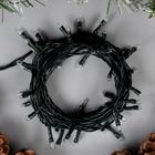 Гирлянда "Нить" 3.5 м , IP20, тёмная нить, 50 ламп, свечение тёплое белое, 8 режимов, 220 В - Фото 2