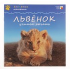 львенок учится рычать.Забавные малыши - Фото 1
