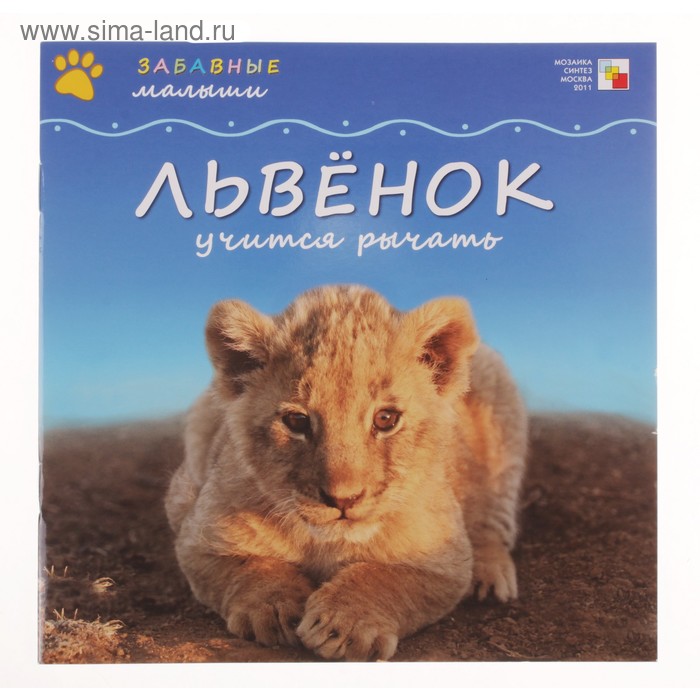 львенок учится рычать.Забавные малыши - Фото 1