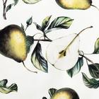 Фартук кухонный «Этель. Груши», 60×65 см, 100% хлопок, саржа 190 г/м² - Фото 5