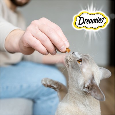 Лакомство Dreamies для кошек, сыр, 140 г