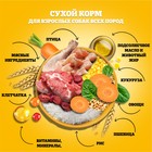 Сухой корм Pedigree для собак всех пород, говядина, 13 кг - Фото 5