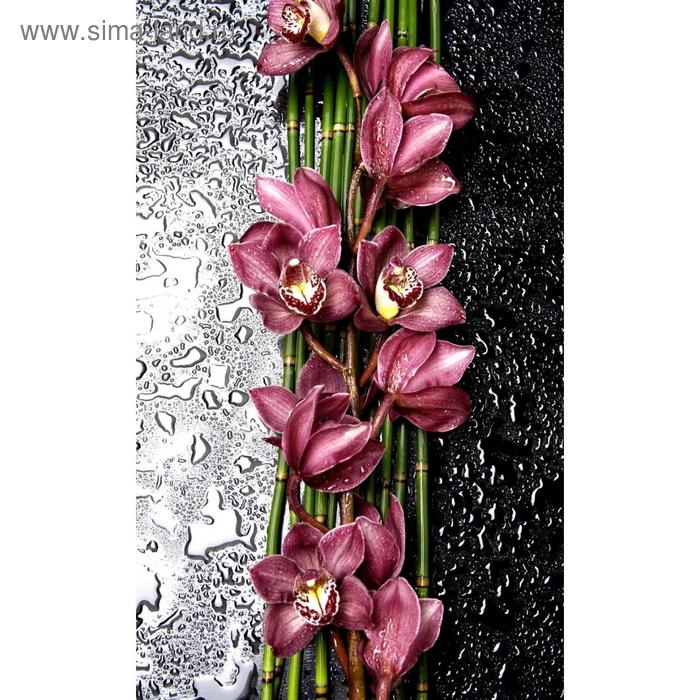 Фотообои флизелиновые 3D Flizetto "Дикая Орхидея" 200х270 - Фото 1