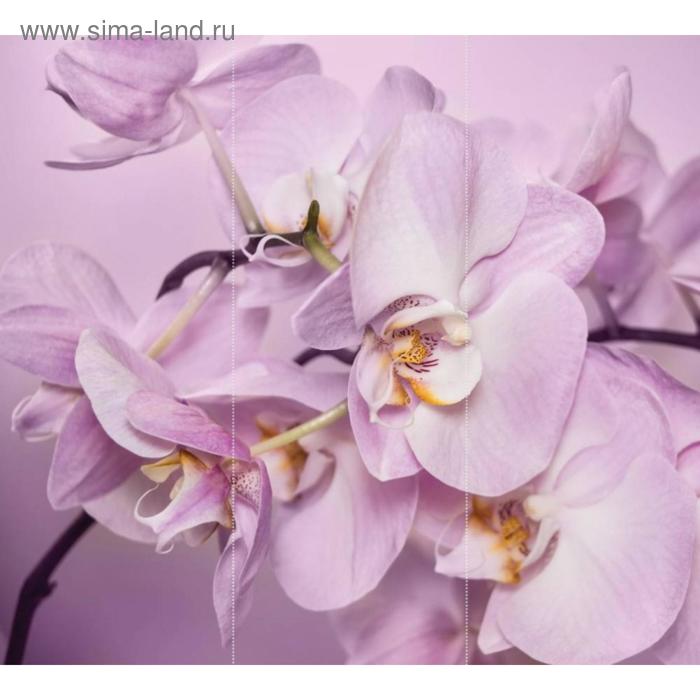 Фотообои флизелиновые 3D Flizetto "Нежная Орхидея" 300х270 - Фото 1