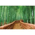 Фотообои флизелиновые 3D Flizetto Тропинка в бамбуковый лес 400х270 - фото 296372760
