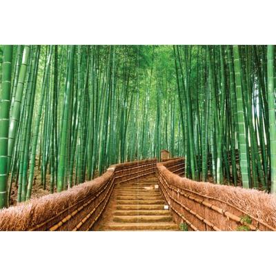 Фотообои флизелиновые 3D Flizetto Тропинка в бамбуковый лес 400х270