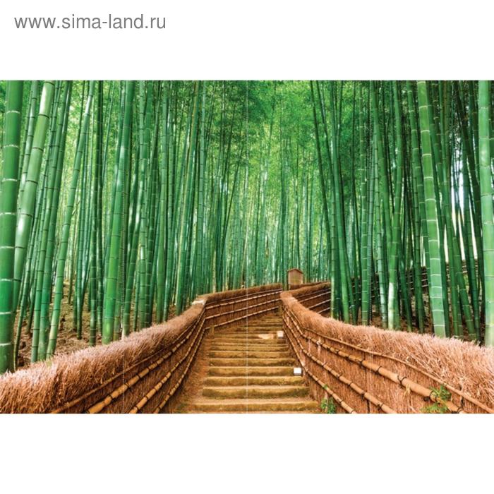 Фотообои флизелиновые 3D Flizetto Тропинка в бамбуковый лес 400х270 - Фото 1