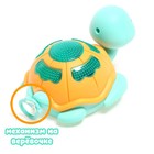 Игрушка заводная «Черепаха», световые эффекты, цвета МИКС - Фото 5