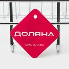 Полка универсальная Доляна, бытовая, с крючками, 42×12×15 см, хромированная - Фото 7