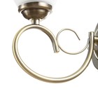 Бра 91311/1 E27 40 Вт, 13×20×23 см - Фото 6