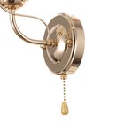 Бра 91331/1 E27 40Вт золото 21х19х21 см - фото 24409421