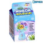 УЦЕНКА Набор для опытов «Живой аквариум - флорариум», с морскими обитателями - Фото 1