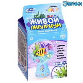 {{photo.Alt || photo.Description || 'Уценка Набор для опытов «Живой аквариум - флорариум», с морскими обитателями'}}