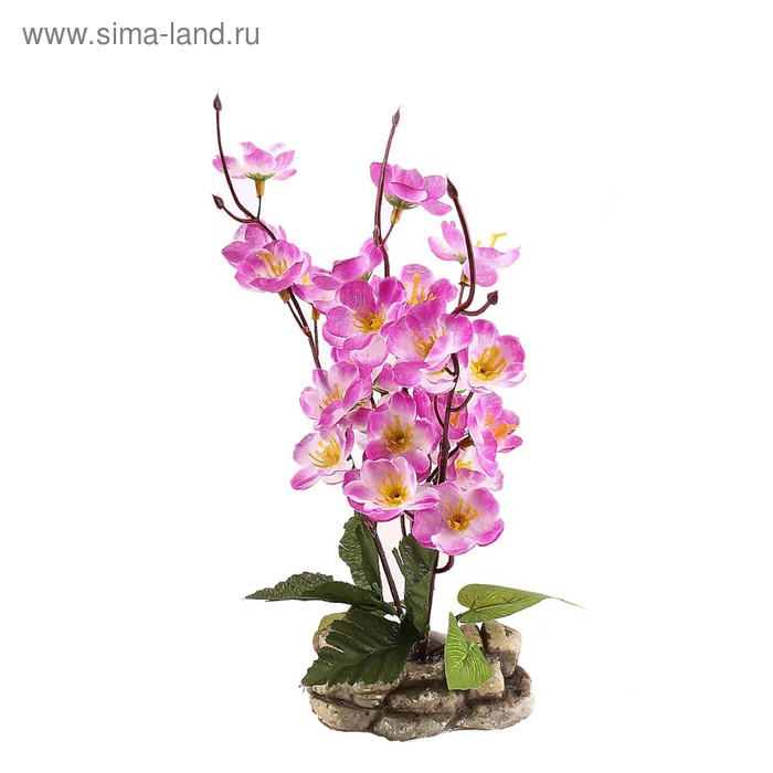 бонсай-композиция сакура кустик 20*10 см - Фото 1