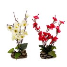 бонсай-композиция сакура кустик 20*10 см - Фото 2