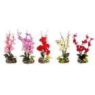 бонсай-композиция сакура кустик 20*10 см - Фото 3