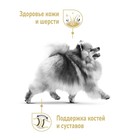 Сухой корм RC Pomeranian для померанского шпица, 1,5 кг - фото 9788571