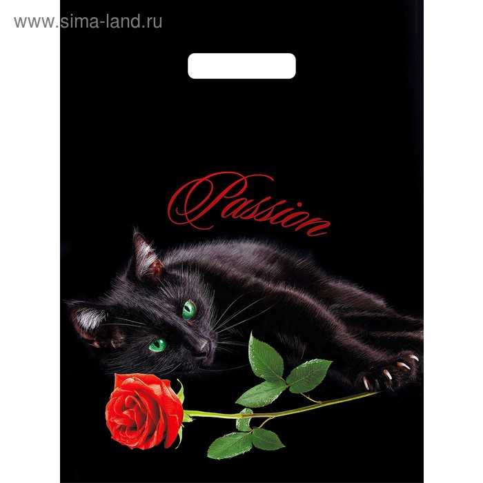 Пакет "Киска", полиэтиленовый с вырубной ручкой, 31 х 40 см, 60 мкм - Фото 1