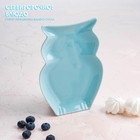 Блюдо керамическое сервировочное Доляна «Милашки. Совушка», 15×11,5×2 см, цвет голубой - Фото 1