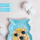 Блюдо керамическое сервировочное Доляна «Милашки. Совушка», 15×11,5×2 см, цвет голубой - Фото 2