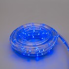 LED шнур 13 мм, круглый, 5 м, чейзинг, 2W-LED-24-220V, с контролл. 8р, синий - Фото 3