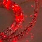 LED шнур 13 мм, круглый, 5 м, чейзинг, 2W-LED-24-220V, с контролл. 8р, красный - Фото 2