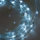 LED шнур 13 мм, круглый, 10 м, чейзинг, 2W-LED/м-24-220V, с контролл. 8р, белый - Фото 2
