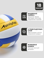 Волейбольный мяч ONLYTOP «Россия», машинная сшивка, 18 панелей, р. 5, PVC - Фото 2