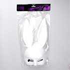 Карнавальный набор «Малышка на миллион», маска, бабочка - Фото 4