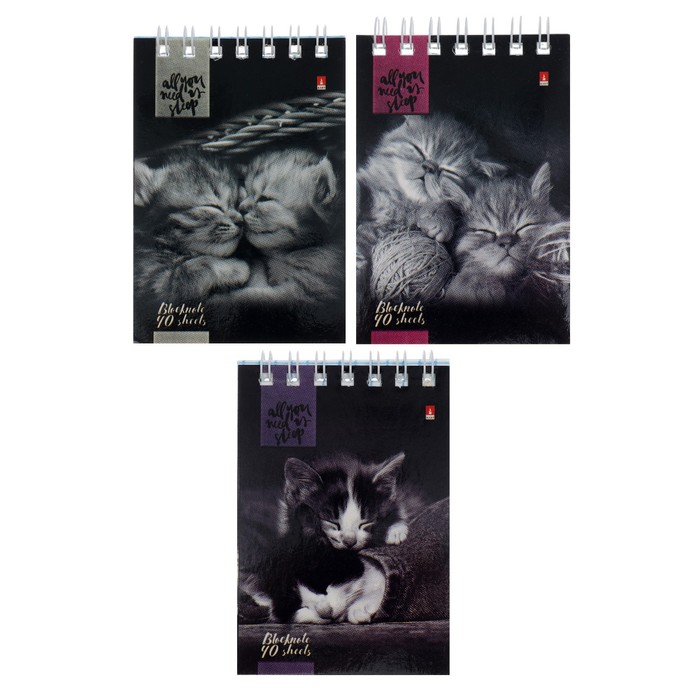 Блокнот А7, 40 листов на гребне "Кошачий Взгляд", обложка ламинированный картон, МИКС - Фото 1