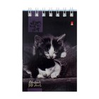Блокнот А7, 40 листов на гребне "Кошачий Взгляд", обложка ламинированный картон, МИКС - Фото 4