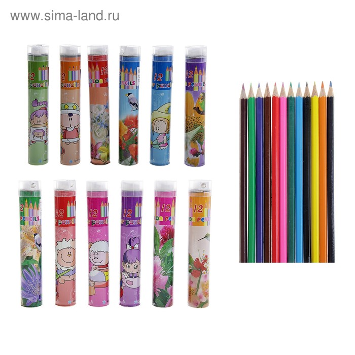 Карандаши 12 цветов в пластиковом тубусе с точилкой Ассорти МИКС - Фото 1
