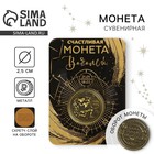 Монета сувенир знак зодиака «Водолей», d=2.5 см - Фото 1