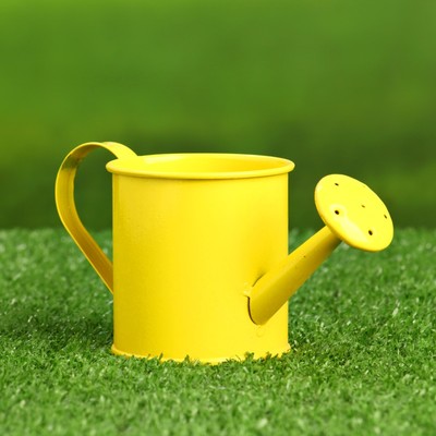 Кашпо «Лейка», 150 мл, металл, МИКС