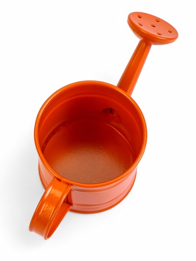 Кашпо «Лейка», 150 мл, металл, МИКС