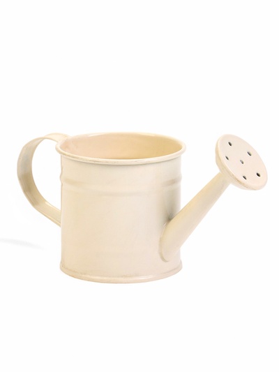 Кашпо «Лейка», 150 мл, металл, МИКС