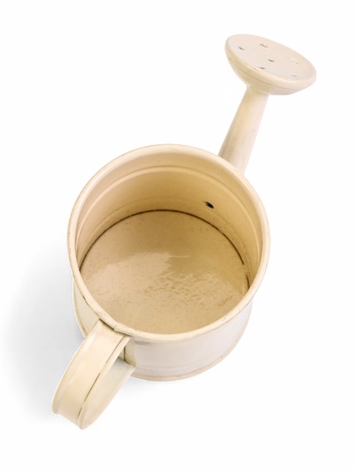 Кашпо «Лейка», 150 мл, металл, МИКС